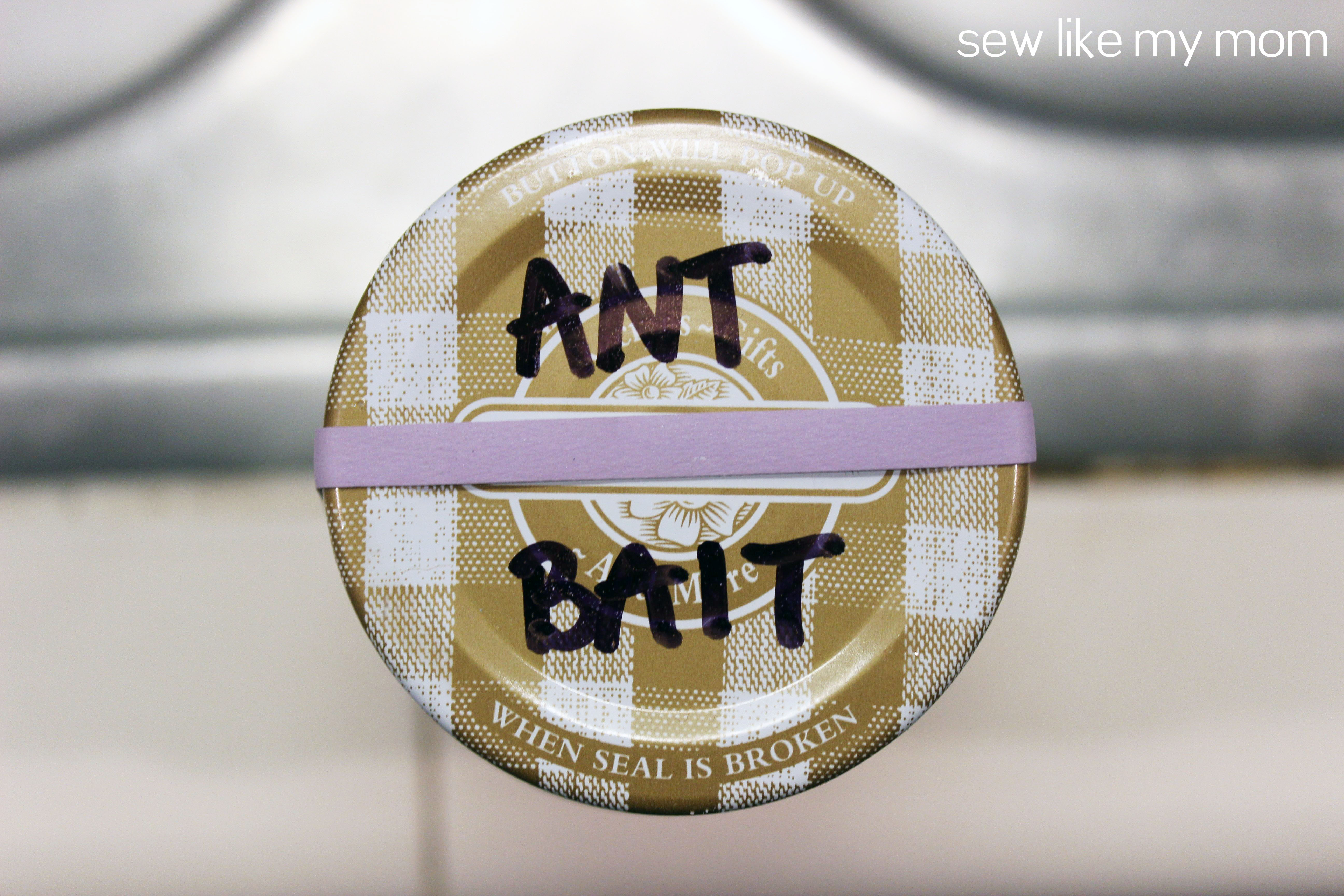 Sew Like My Mom | DIY Ant Bait