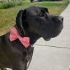 Sew Like My Mom Atlas Bow Tie