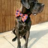 Sew Like My Mom Atlas Bow Tie