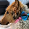 Sew Like My Mom Atlas Bow Tie
