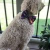 Sew Like My Mom Atlas Bow Tie