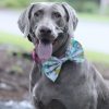 Sew Like My Mom Atlas Bow Tie
