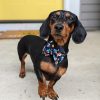 Sew Like My Mom Atlas Bow Tie.PORTRAIT