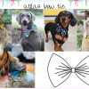 Sew Like My Mom Atlas Bow Tie